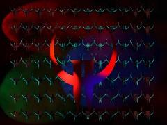 wal_druffy2